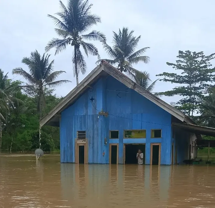 Perkembangan Situasi dan Penanganan Bencana di Tanah Air Periode 24–25 Juni 2025